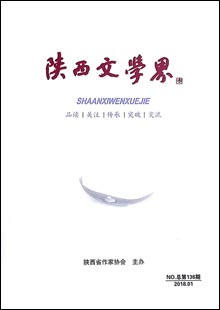 《陜西文學(xué)界》 《陜西文學(xué)界》是與中央級(jí)文化單位、全國(guó)各省文聯(lián)、作協(xié)交流，覆蓋陜西省、市、縣政界主要領(lǐng)導(dǎo)和文聯(lián)負(fù)責(zé)人、省內(nèi)知名高校和大企業(yè)、全省作家的具有高端讀者群、影力廣泛的文學(xué)通訊、交流雙月內(nèi)刊，于1979年創(chuàng)刊，原名為《文學(xué)簡(jiǎn)訊》，后更名為《陜西文學(xué)界》，16開(kāi)80碼，內(nèi)容豐富……[詳細(xì)]