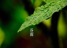 《谷雨》過了清明，就是谷雨。村莊里，田野里，村路上，草木間，人家的院落里，人們的臉上，到處都是春天的閑意思了。[詳細]