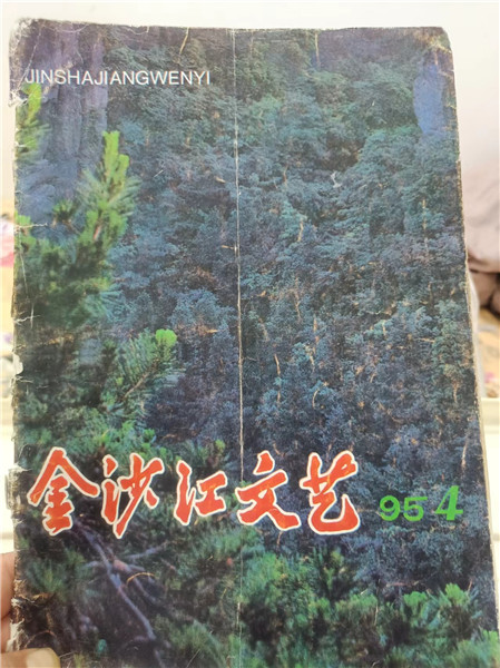 第一篇小說(shuō)《小鳥(niǎo)》發(fā)表在1995年第4期《金沙江文藝》